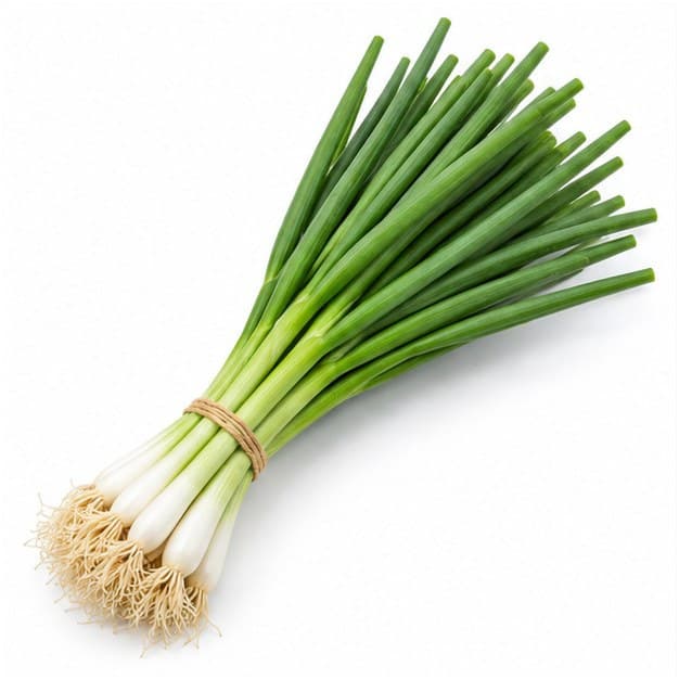 Sản phẩm Hành lá