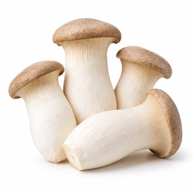 Sản phẩm Nấm đùi gà