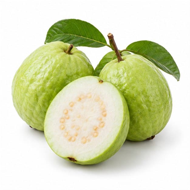 Sản phẩm Ổi