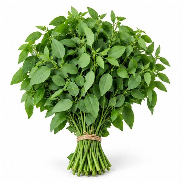 Sản phẩm Rau ngót