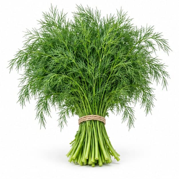 Sản phẩm Thì là