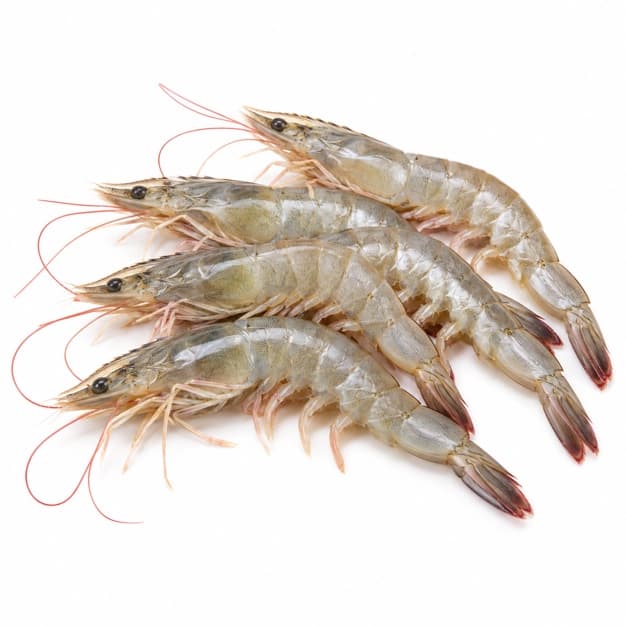 Sản phẩm Tôm dảo